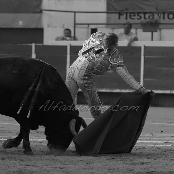 Chateaurenard 20180722 10 