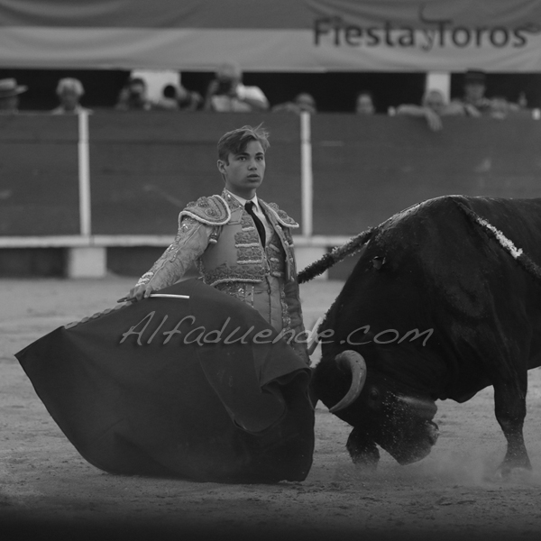 Chateaurenard 20180722 11 