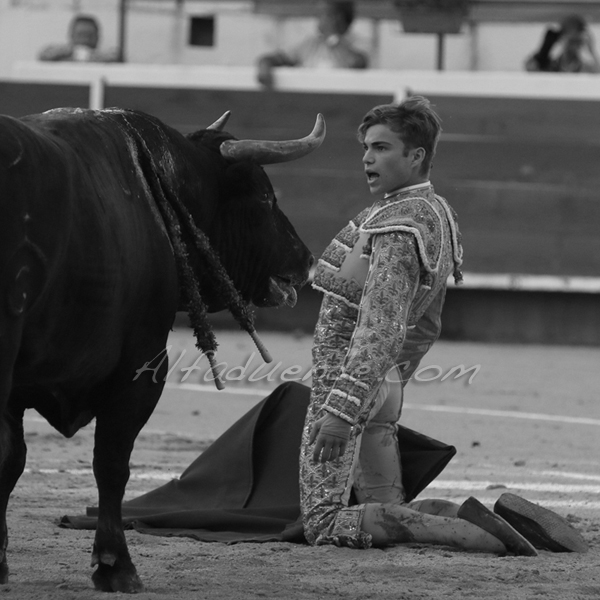 Chateaurenard 20180722 12 