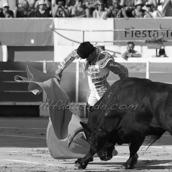 Chateaurenard 20180722