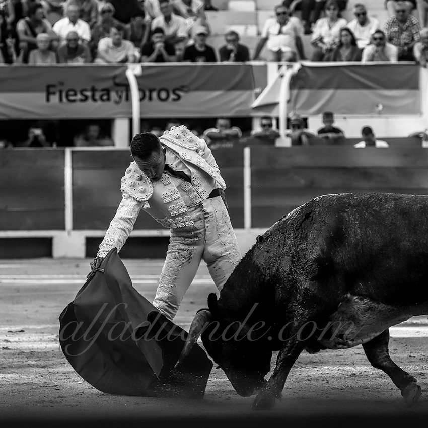 Alfaduendeimg 4921chateaurenard 04 copie