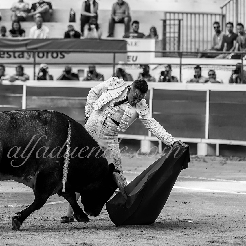 Alfaduendeimg 4948chateaurenard 05 copie