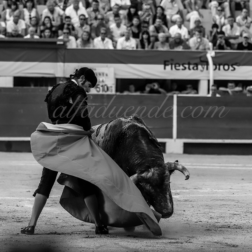 Alfaduendeimg 5025chateaurenard 06 copie