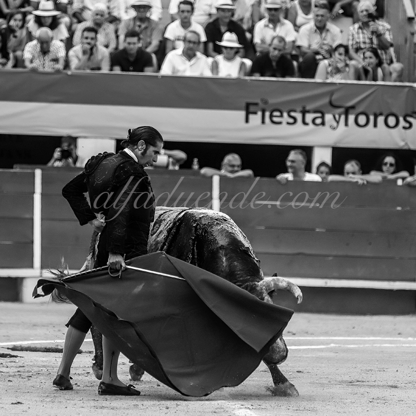 Alfaduendeimg 5062chateaurenard 07 copie