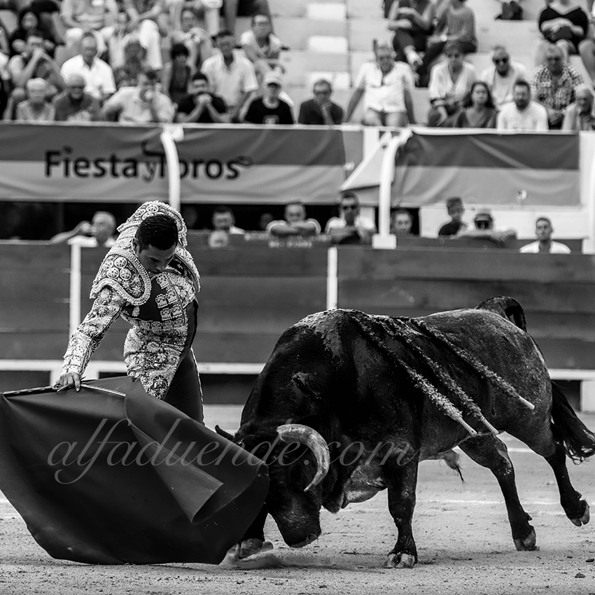 Alfaduendeimg 5272chateaurenard 10 copie