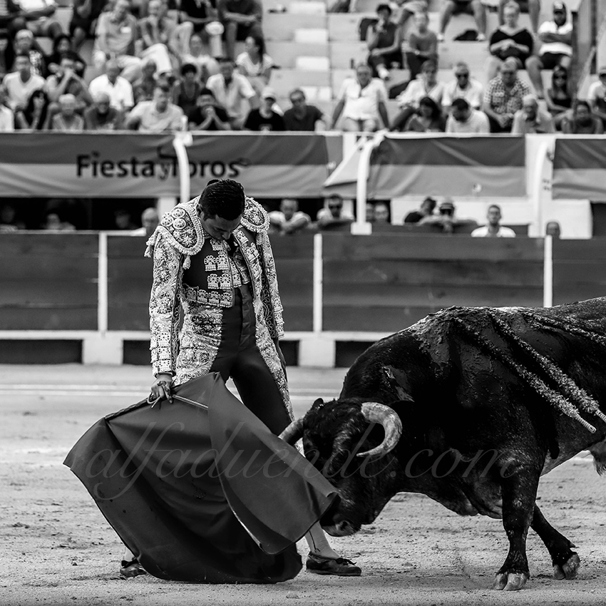 Alfaduendeimg 5294chateaurenard 11 copie