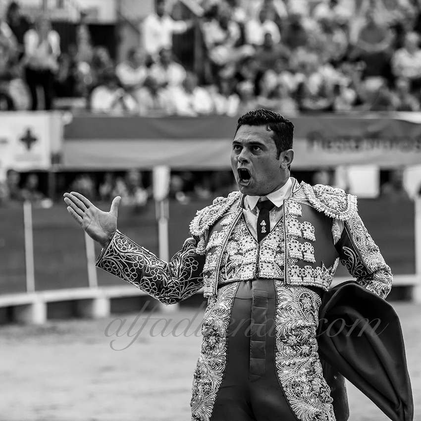 Alfaduendeimg 5418chateaurenard 12 copie