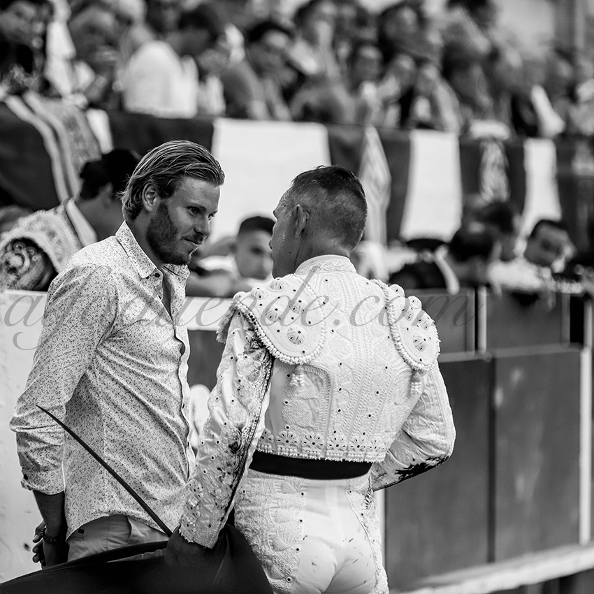 Alfaduendeimg 5586chateaurenard 01 copie