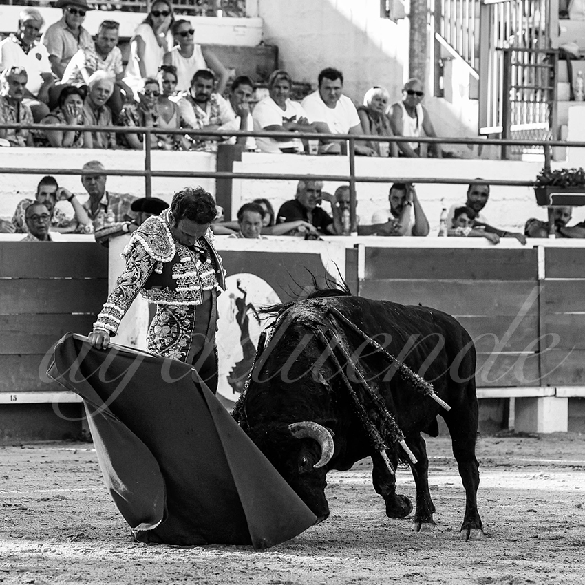 20220809 chateaurenard 013