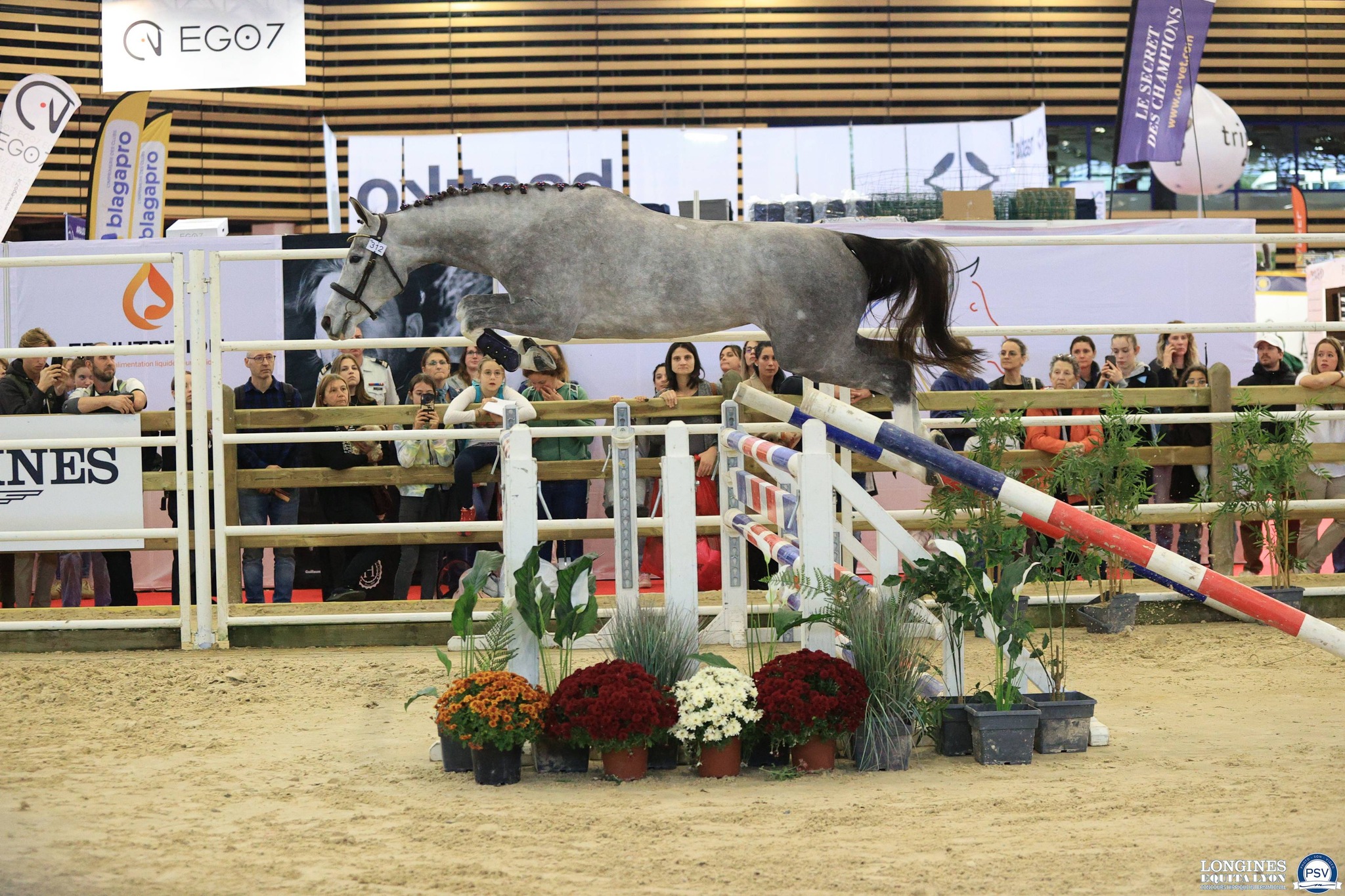 Finale des 3 ans Sport