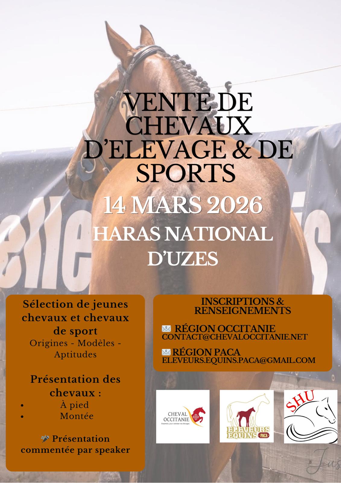 Vente amiable de chevaux au CSO du Haras National d'Uzès