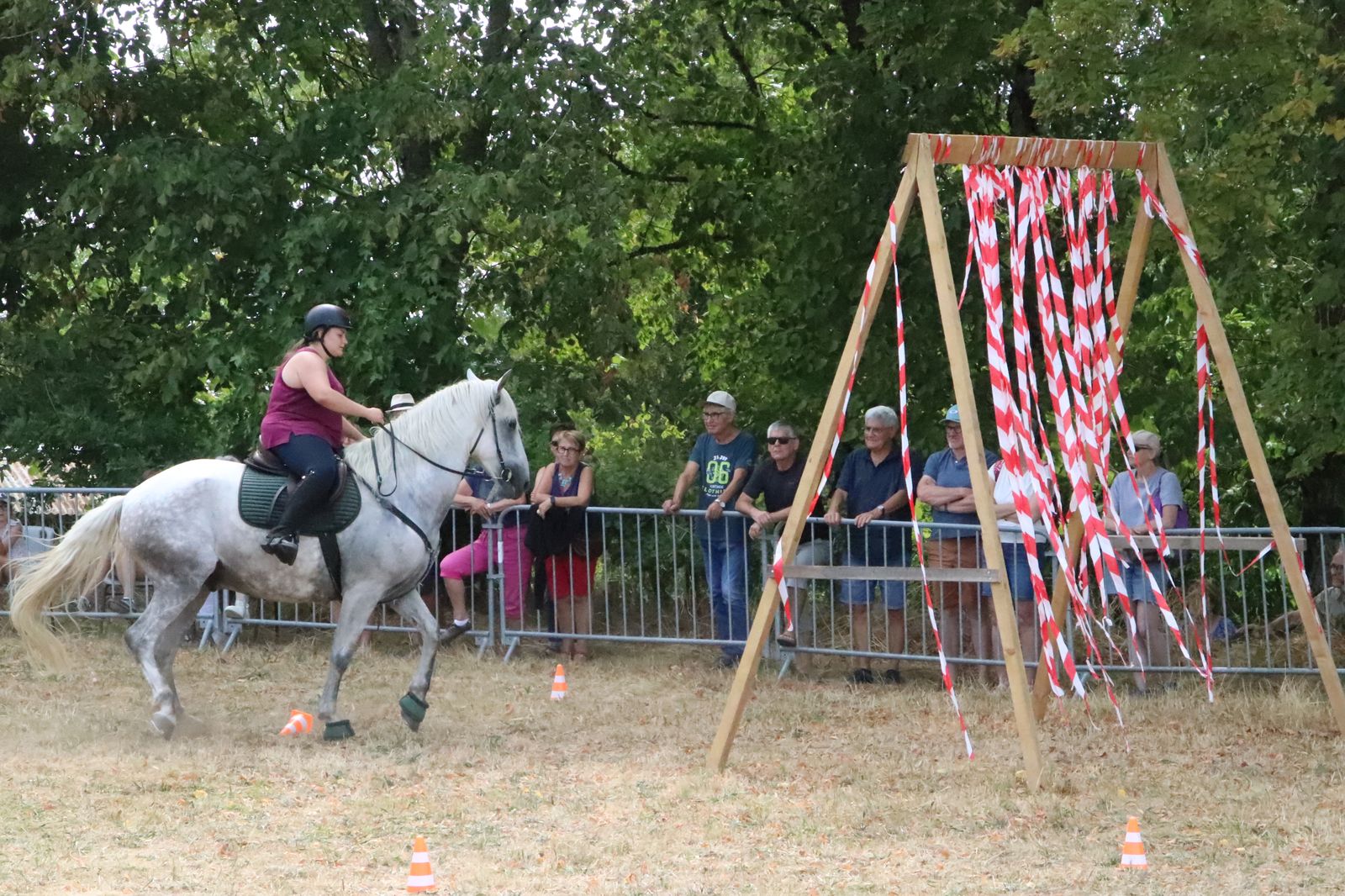Img 2944