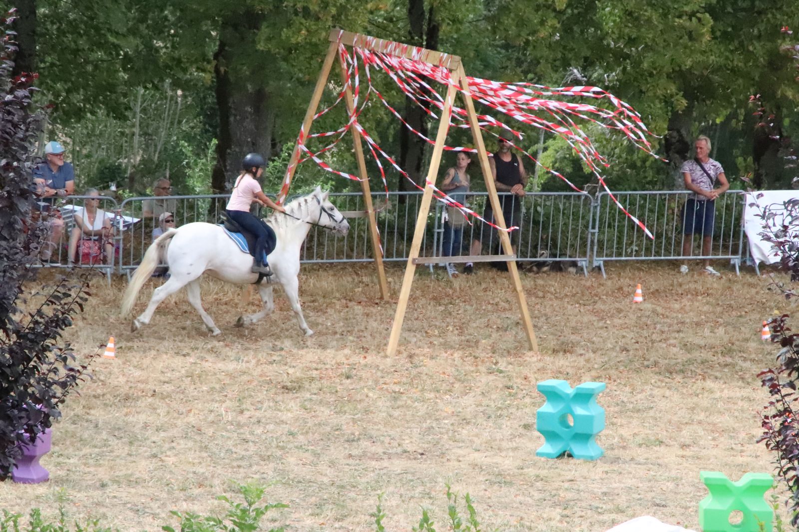 Img 2931