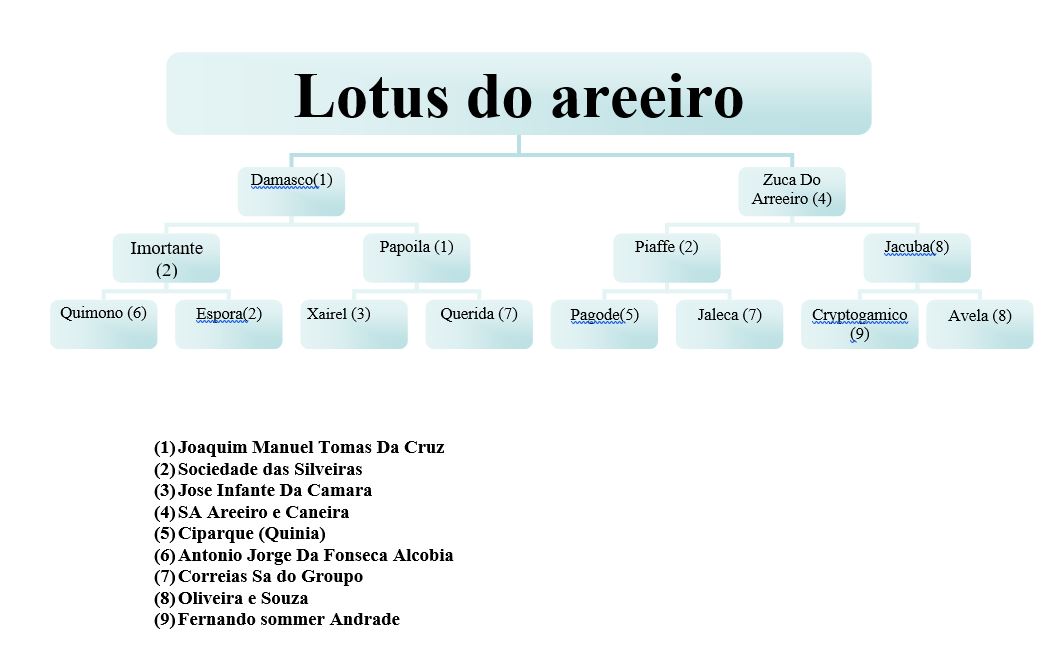 Zoom lotus5