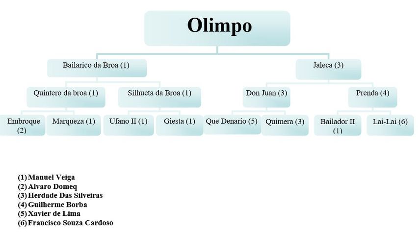 Zoom Olimpo4