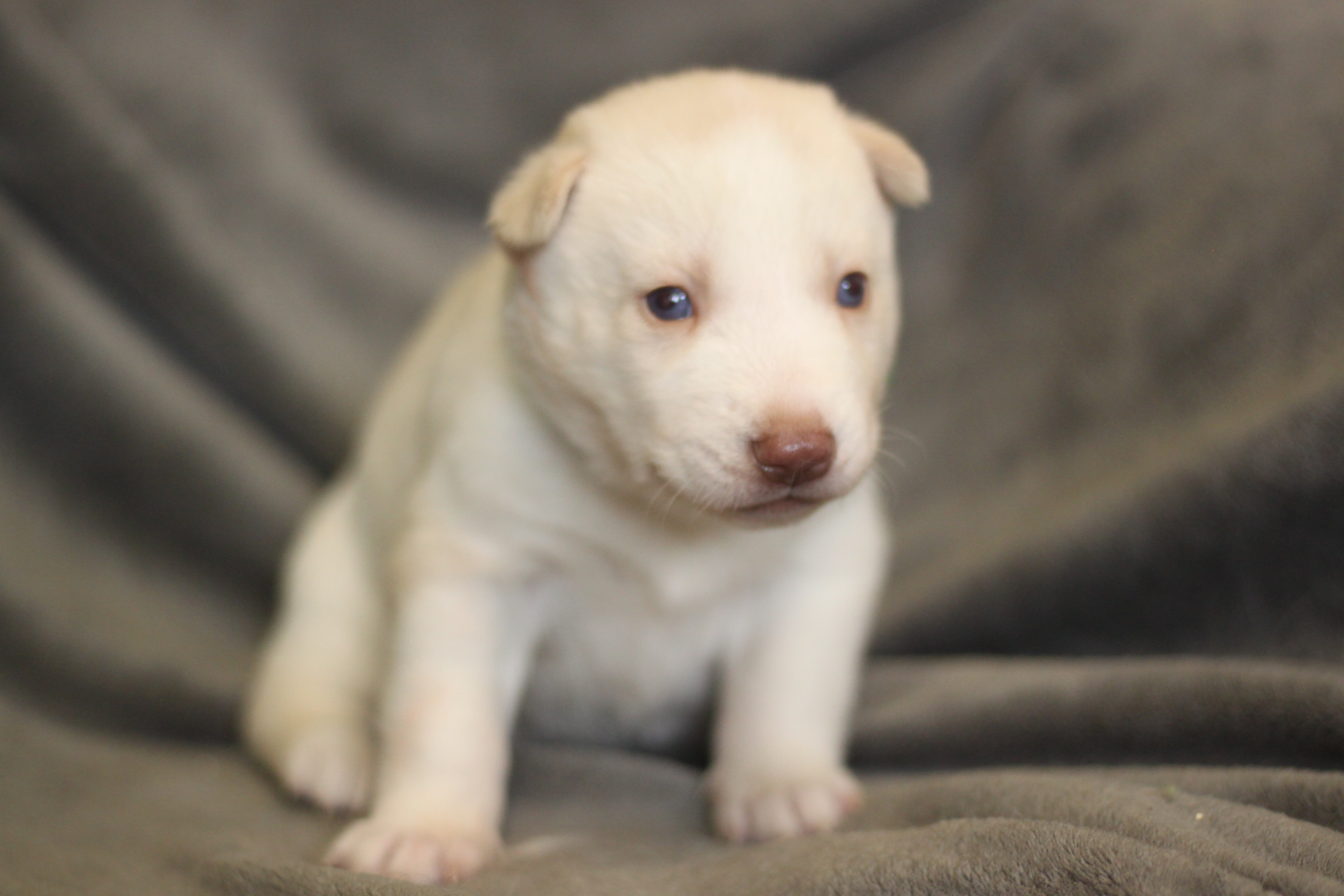 Naissance du 15 octobre 2025
