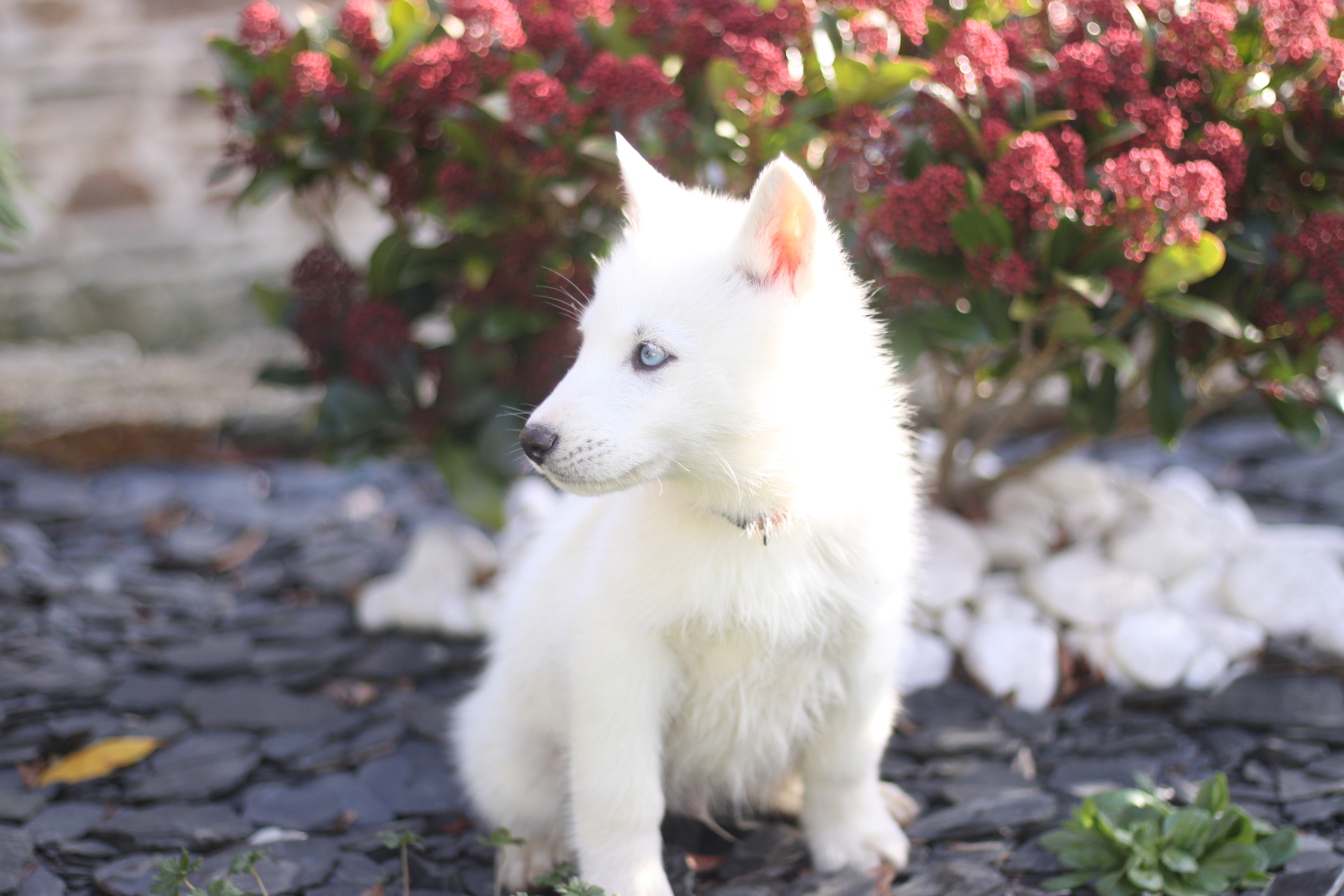 Naissance du 20 octobre 2025