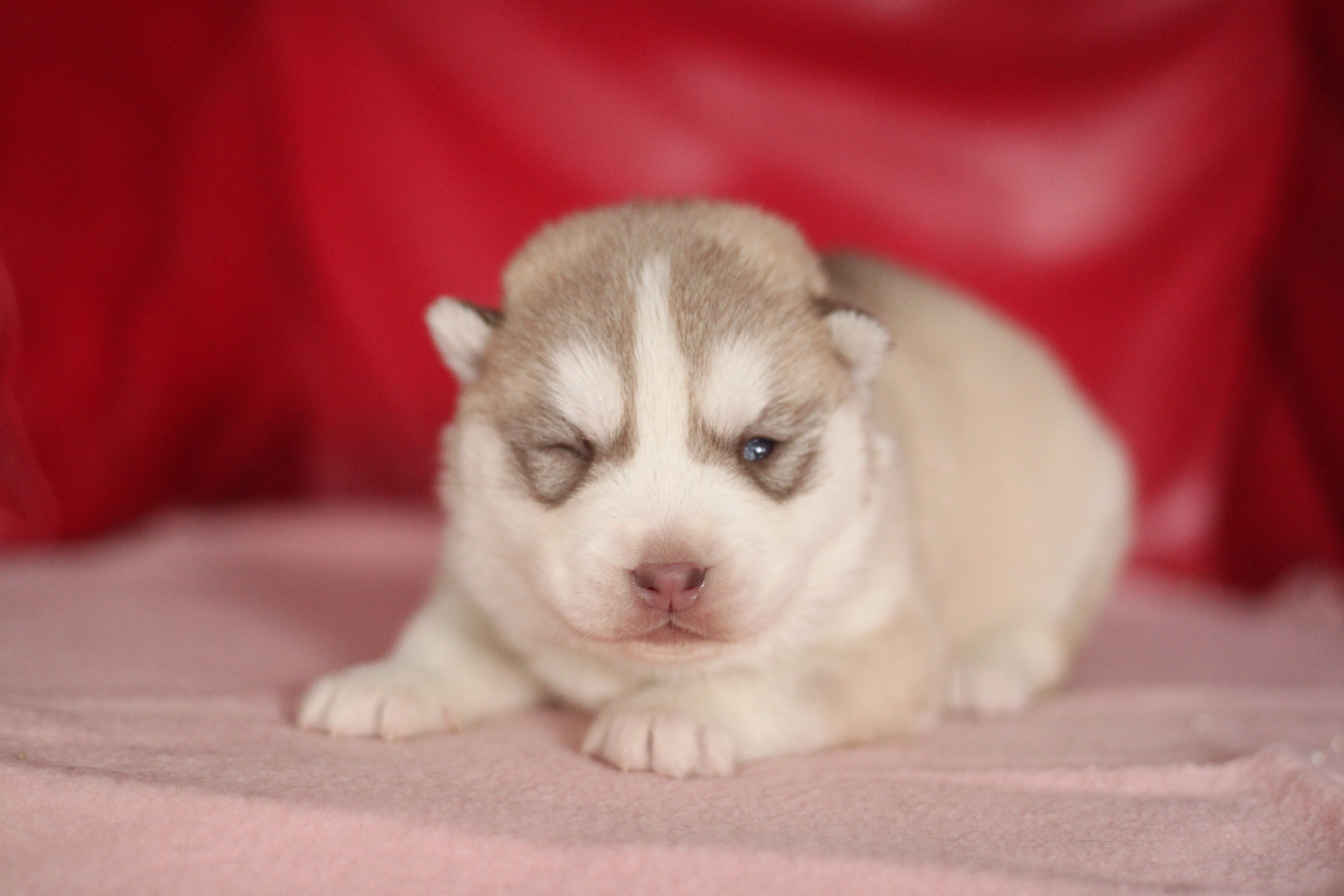 Naissance du 18 décembre 2025