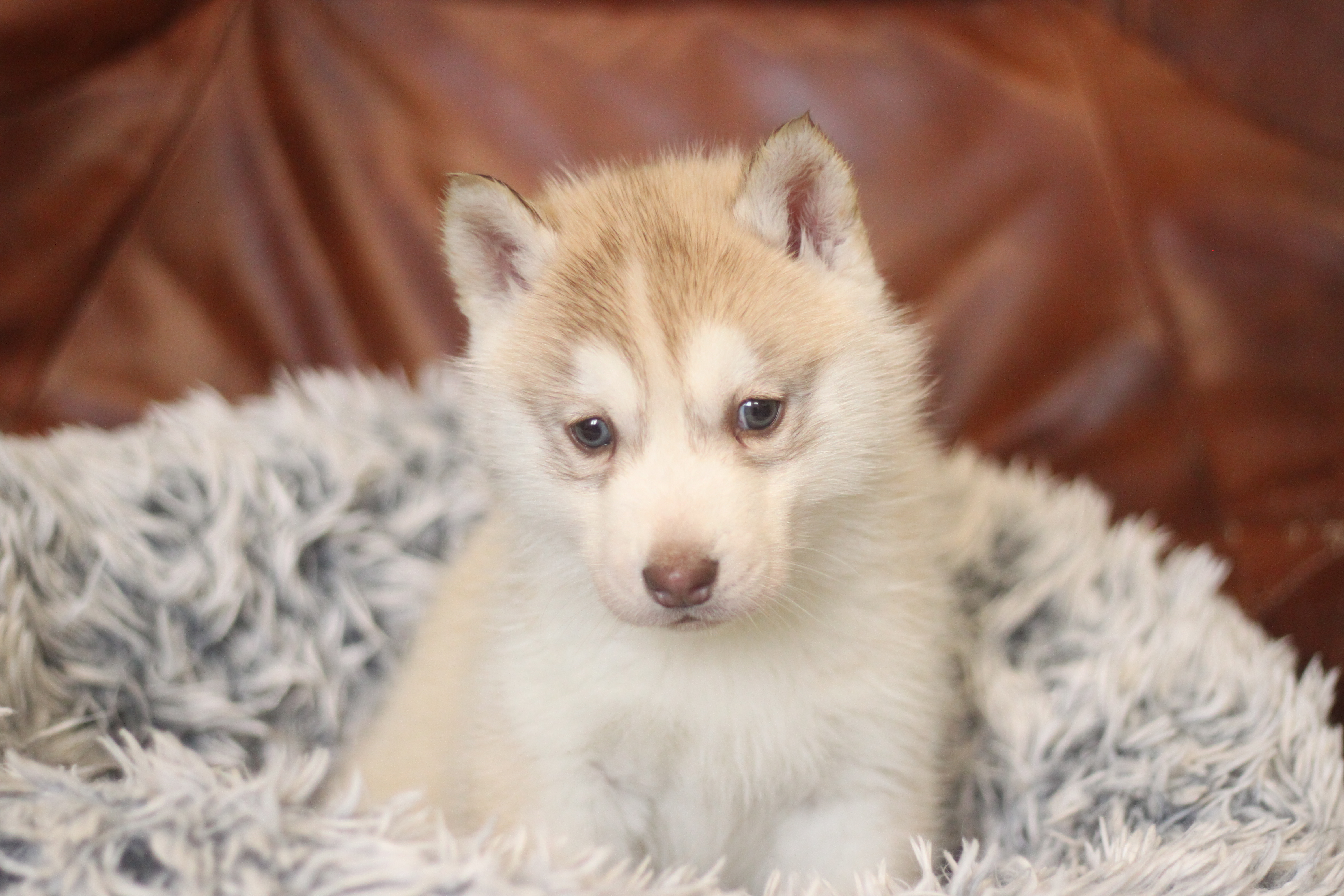 Naissance du 18 décembre 2025