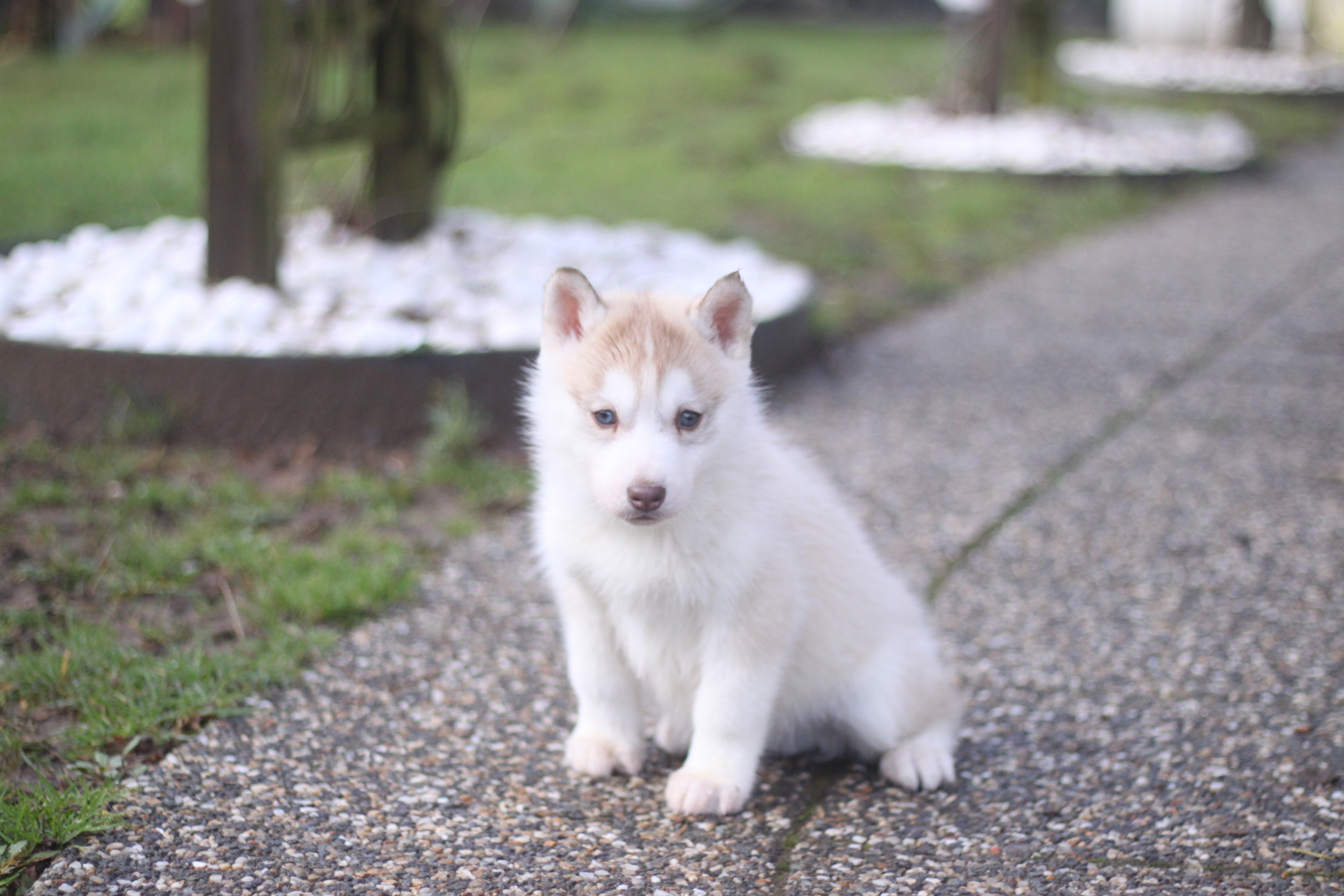 Naissance du 18 décembre 2025