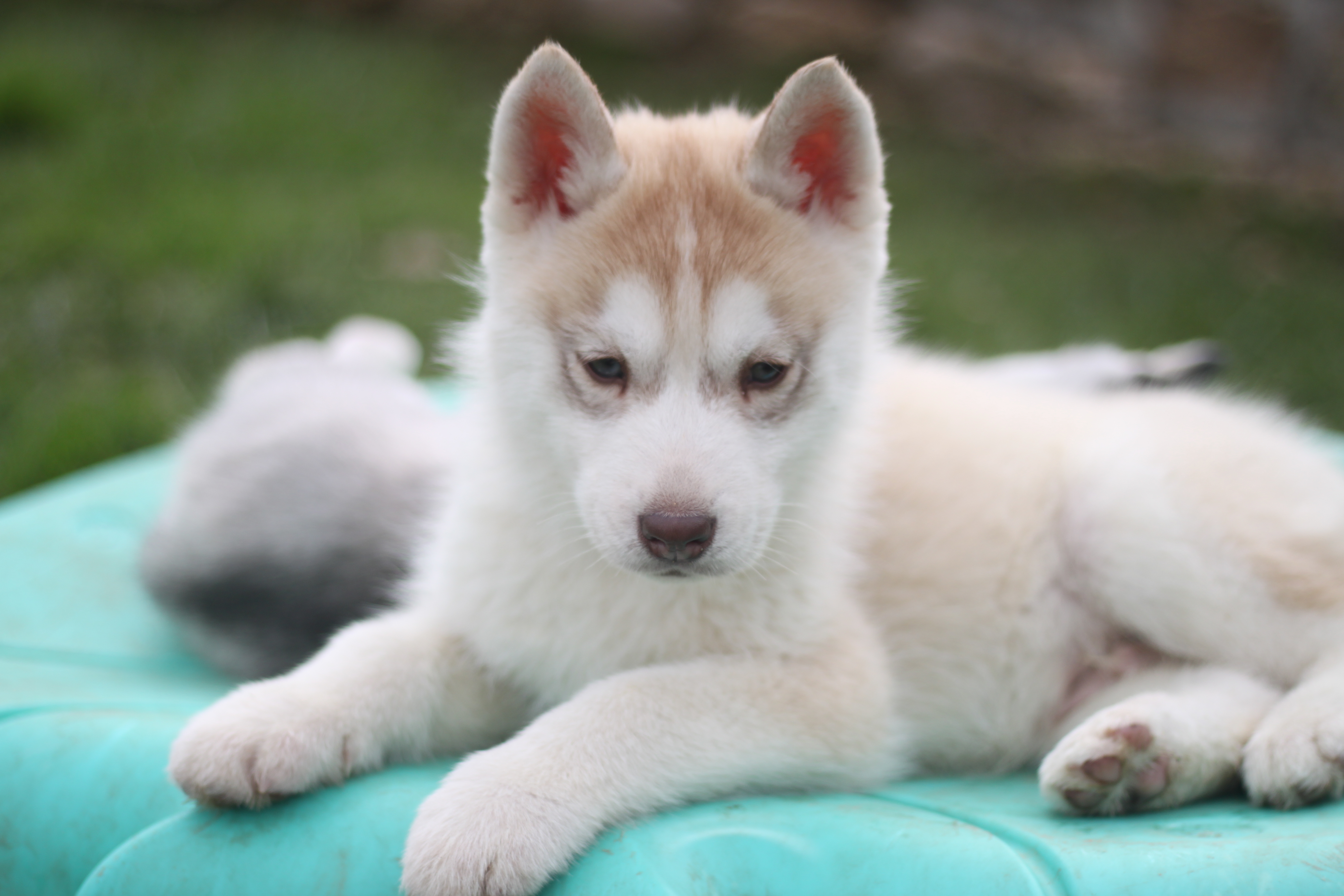 Naissance du 18 décembre 2025