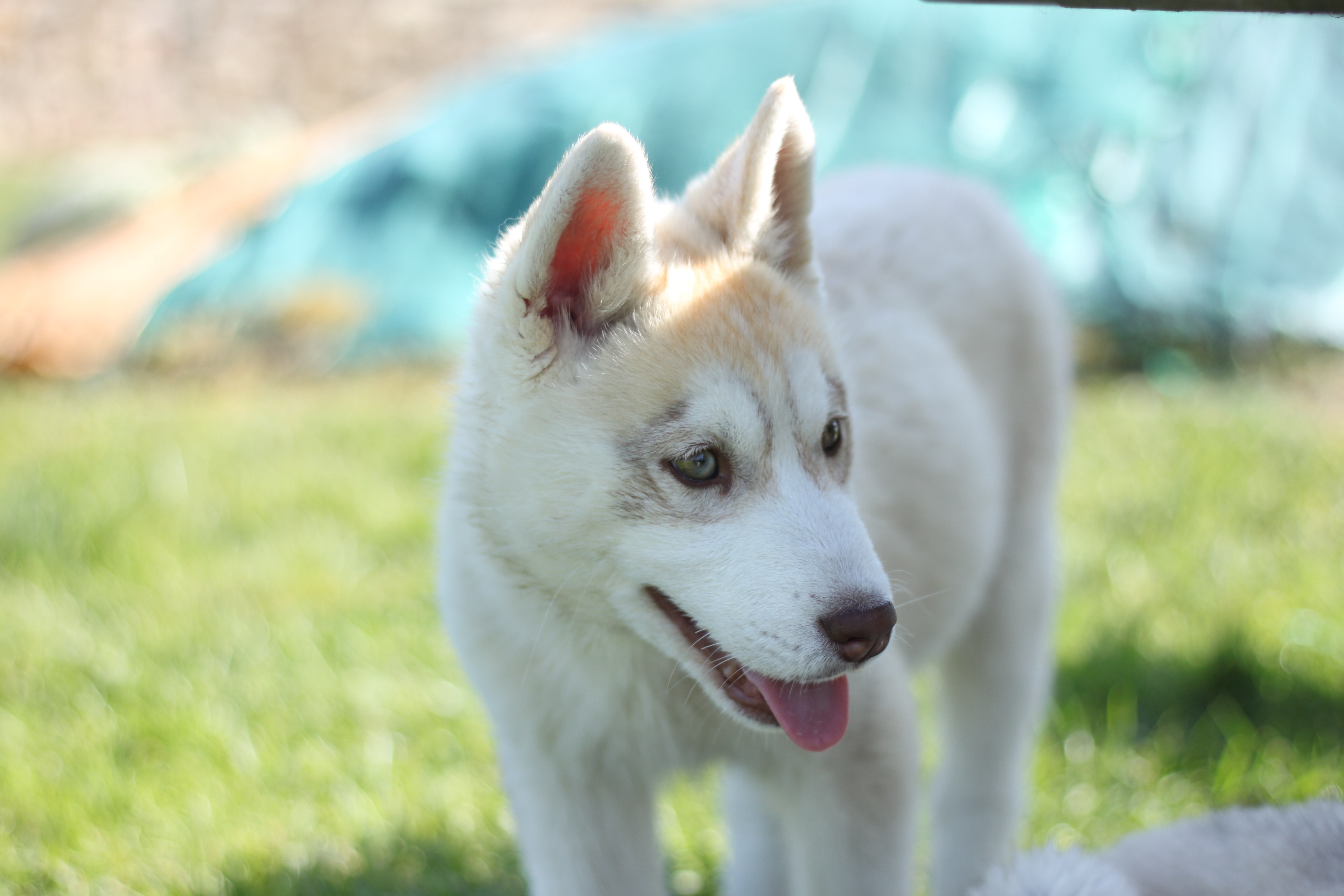 Naissance du 18 décembre 2025