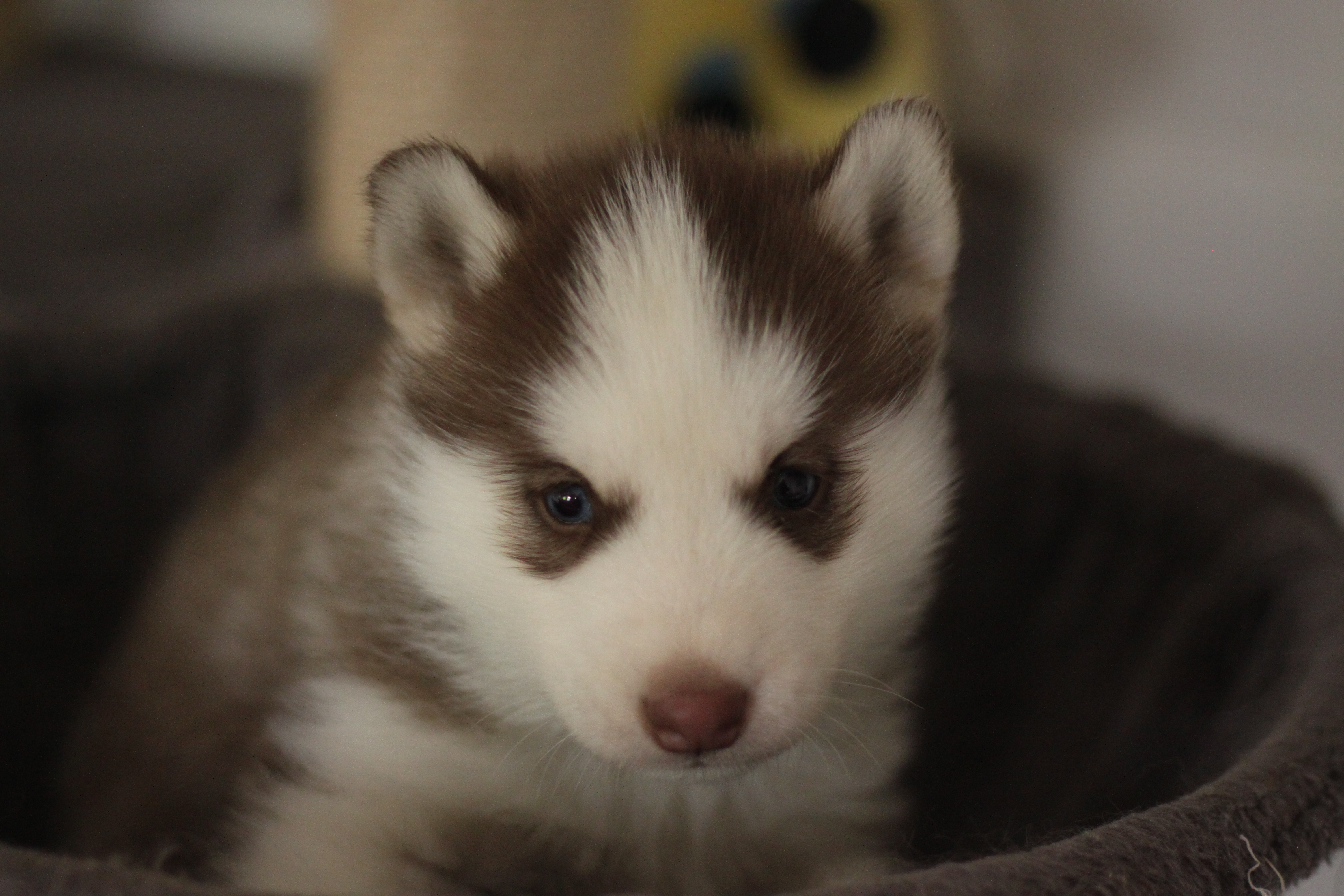 Naissance du 25 février 2026