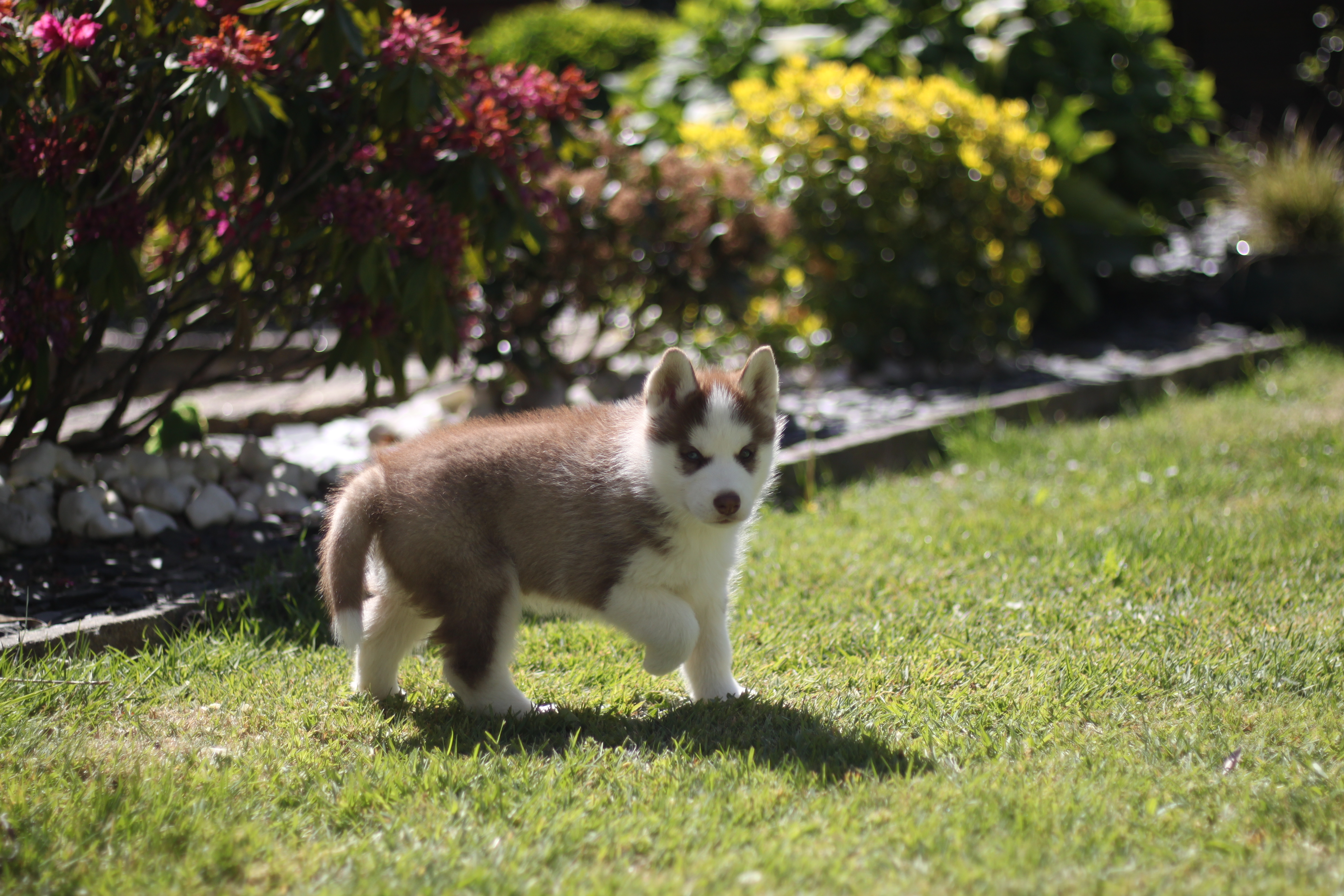 Naissance du 25 février 2026