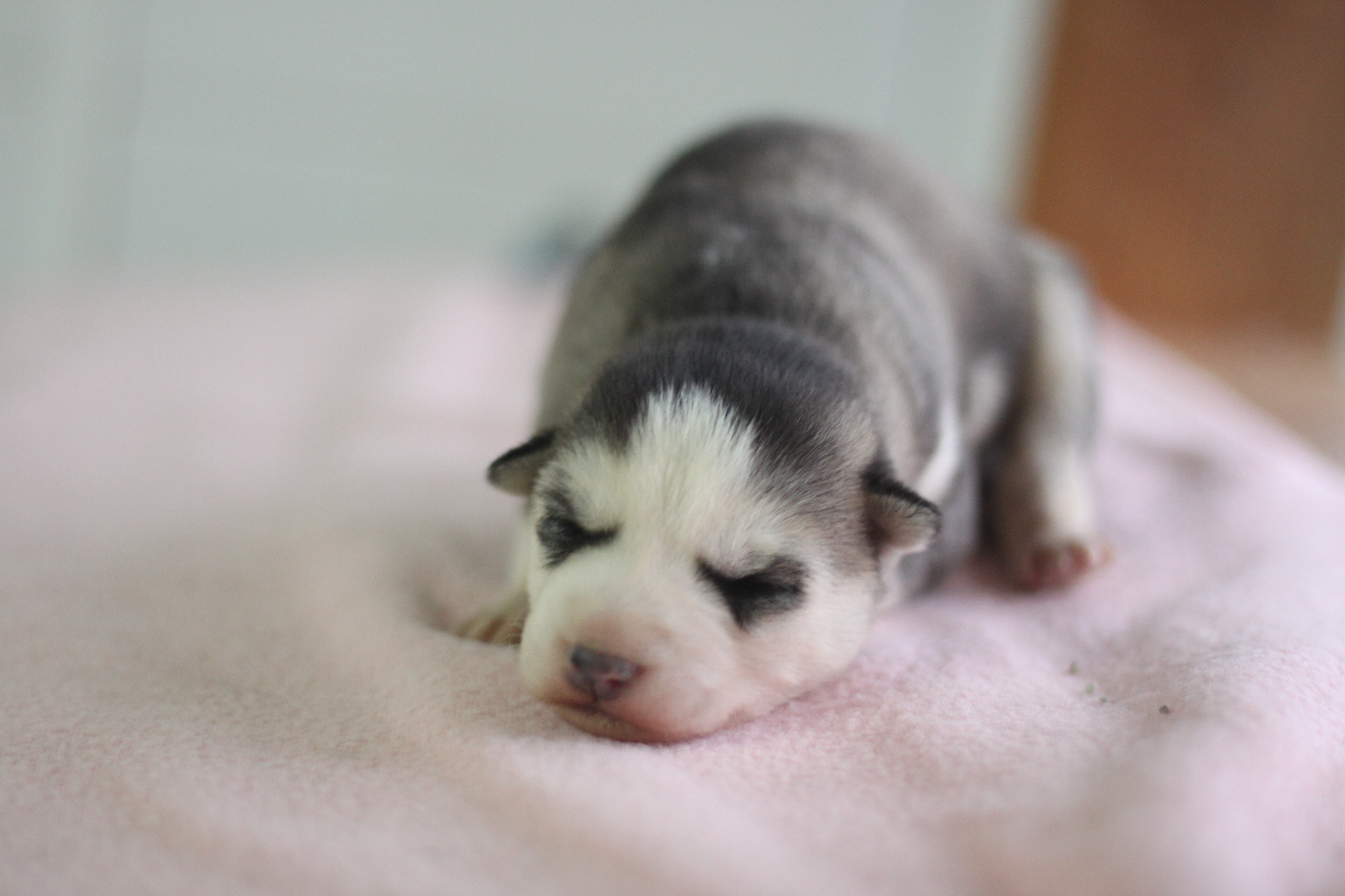 Naissance du 4 janvier 2026