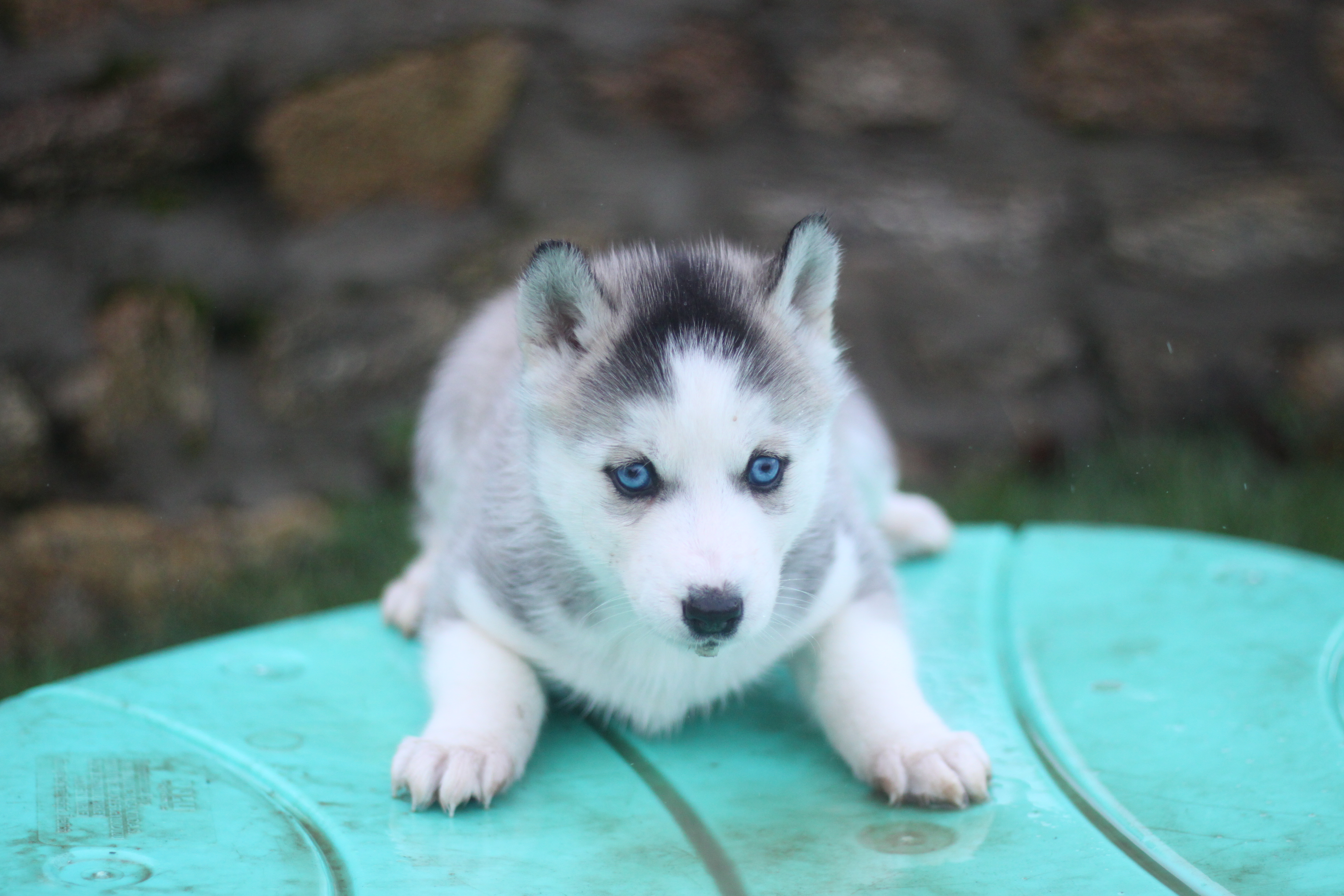 Naissance du 4 janvier 2026