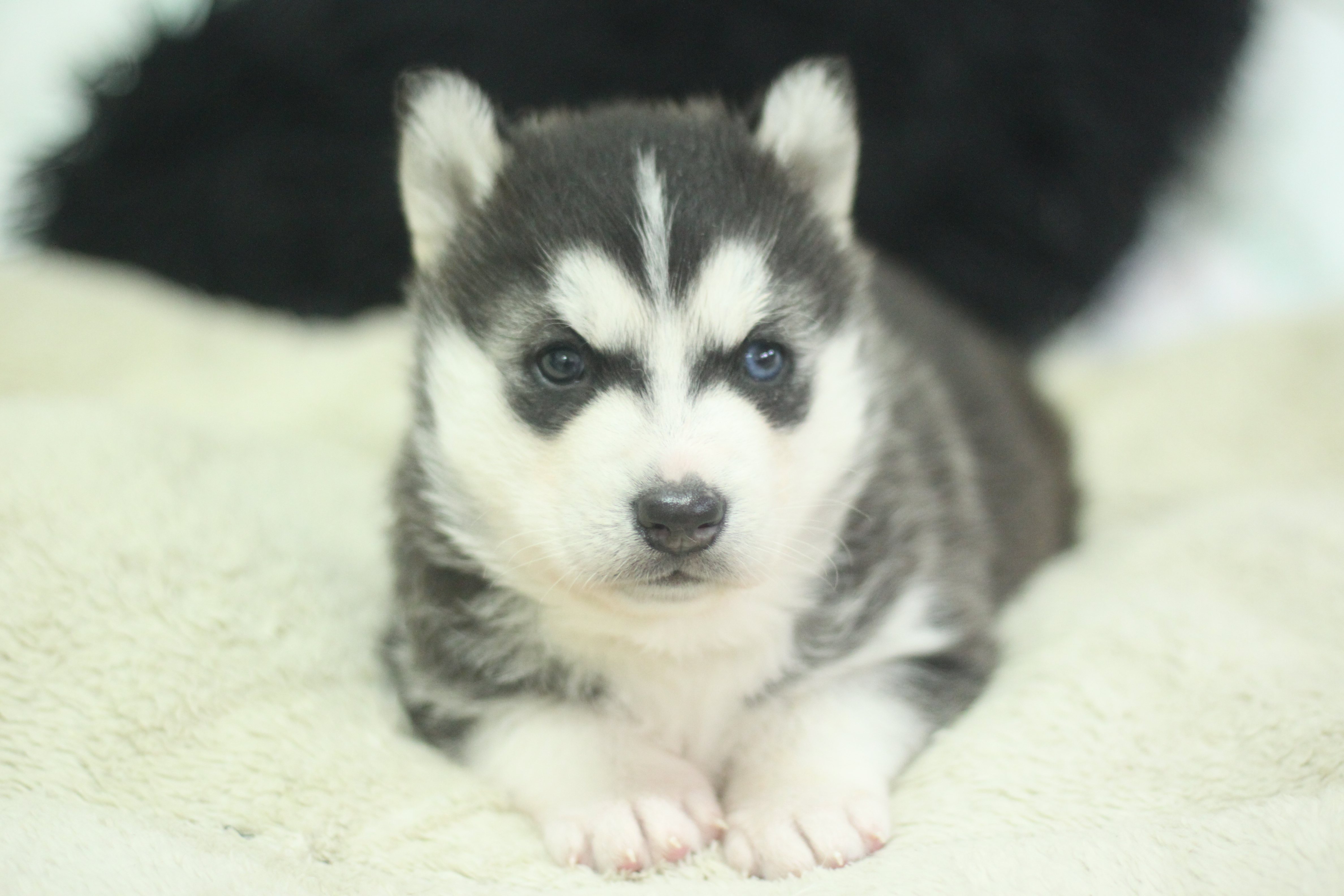 Naissance du 2 janvier 2026