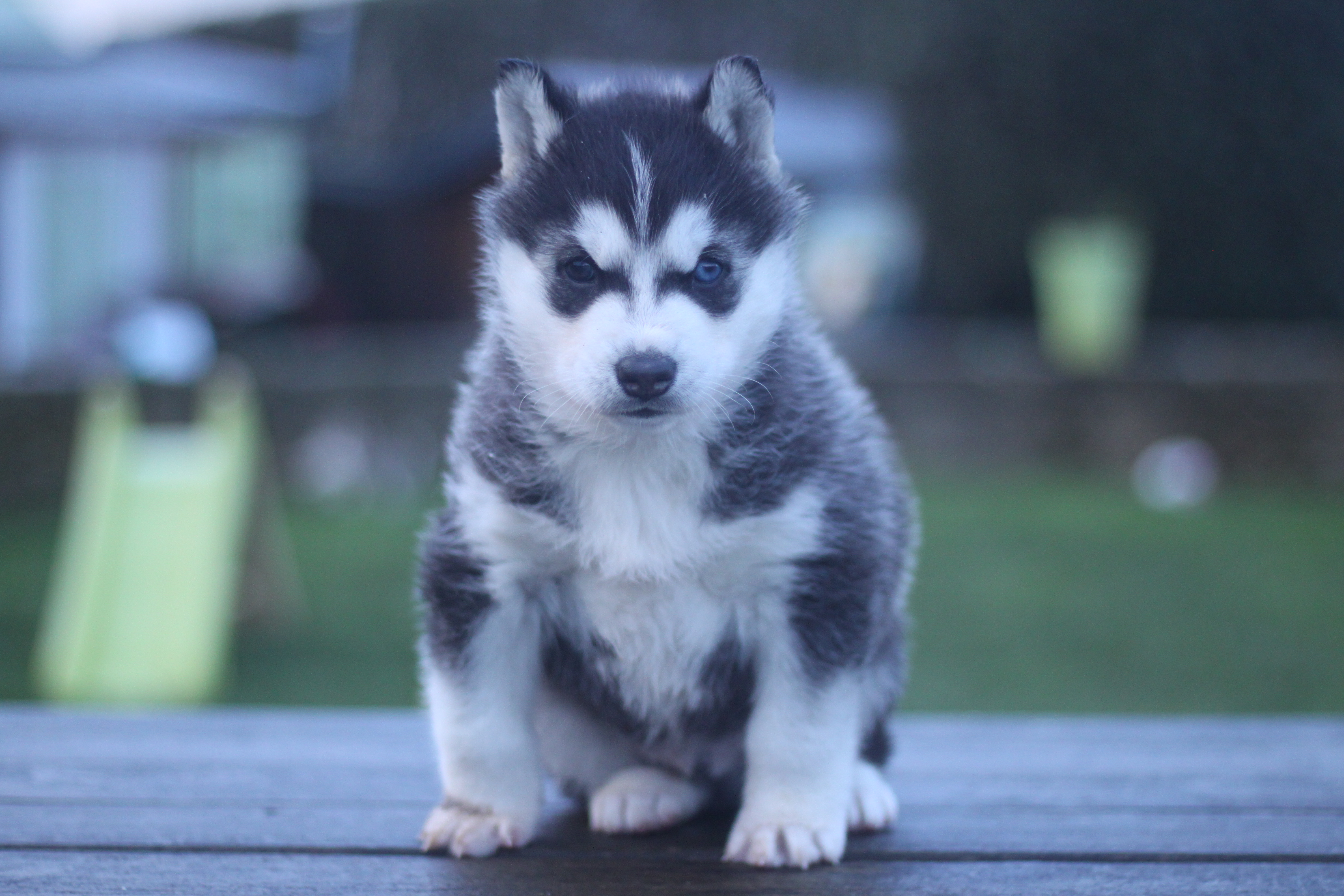 Naissance du 2 janvier 2026