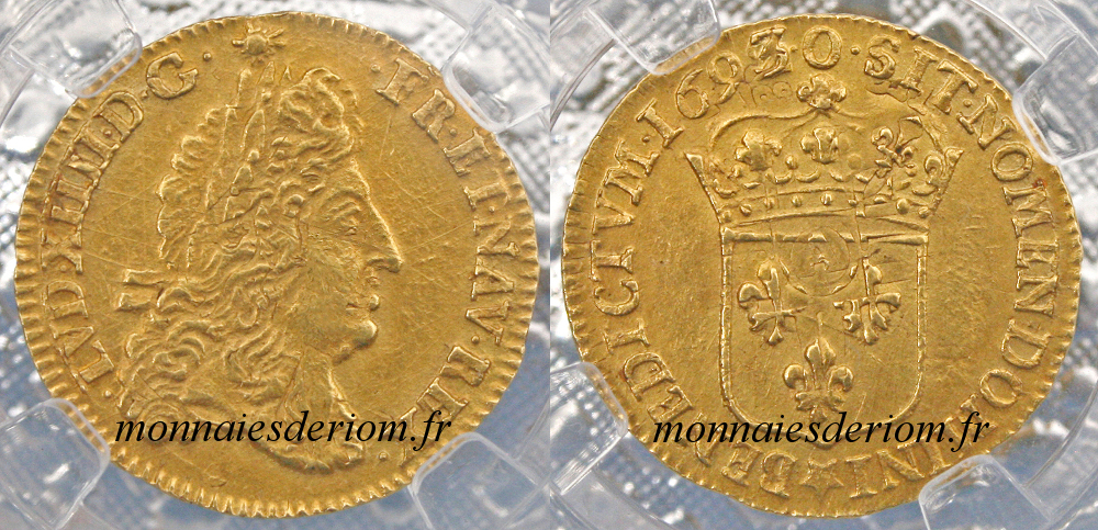 Demi Louis d'or à l'écu 1693  Riom