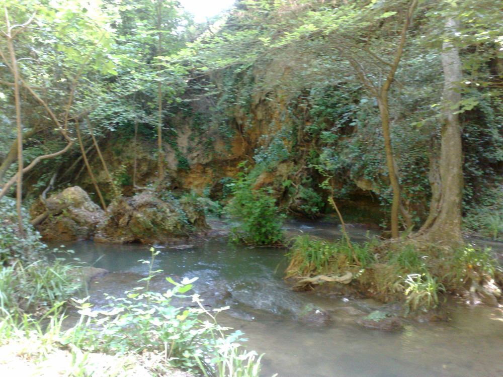 15072009117