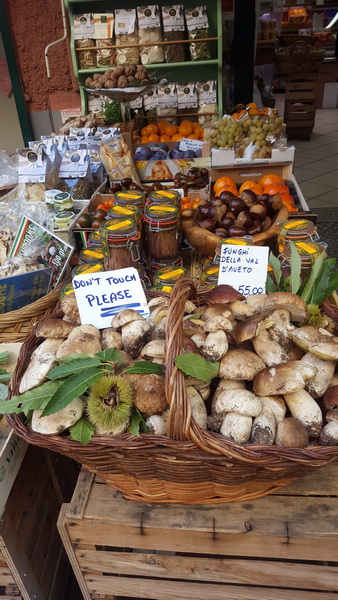 0001 sestri levante 0044