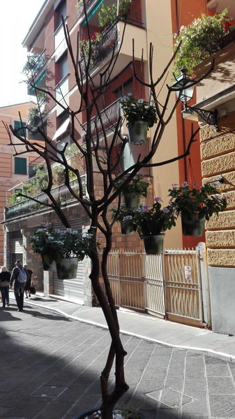 0003 depart de levanto 0001