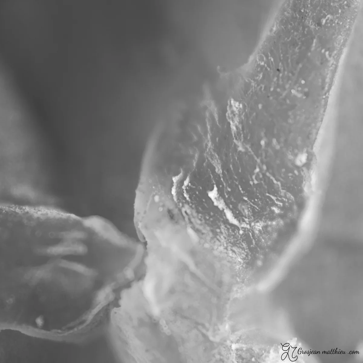 Cire d abeille alveolee beeswax honeycomb photo macro