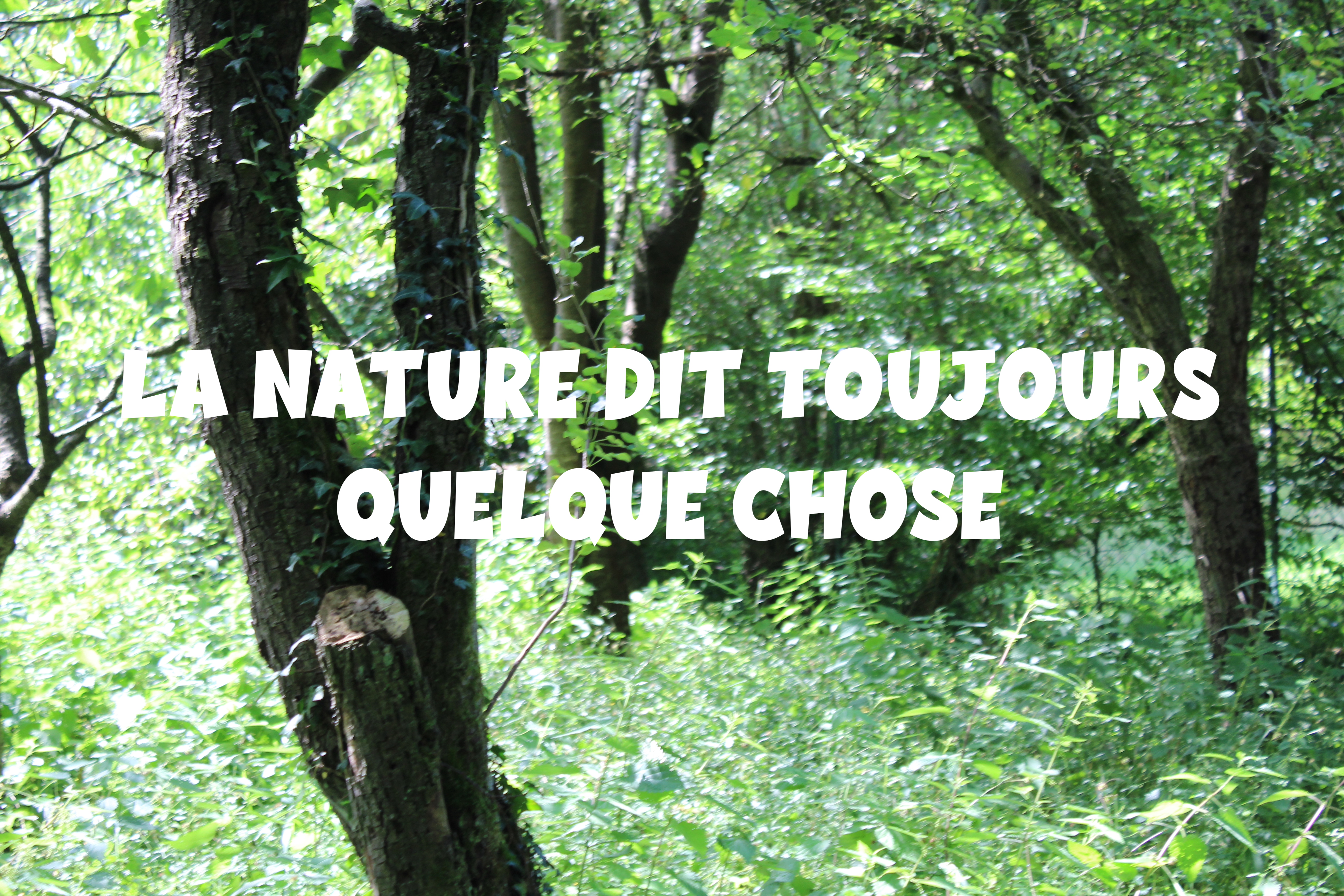 La-nature-dit-toujours-qqc