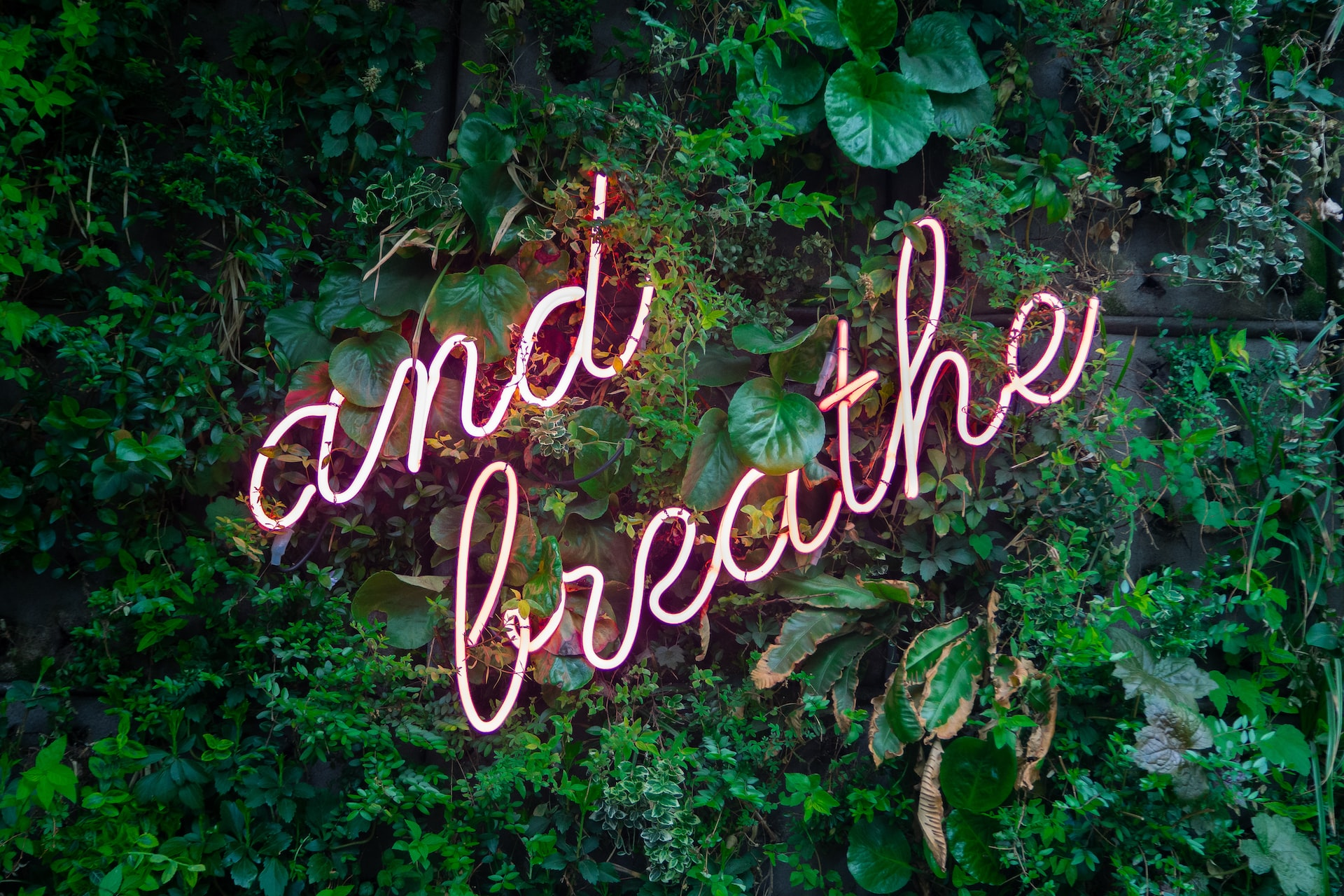 TECHNIQUE NATURO : La respiration