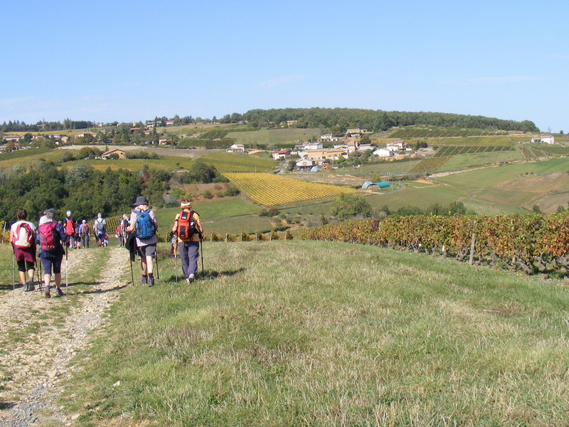 2021-marche-12