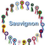 2020-07-26-Sauvignon