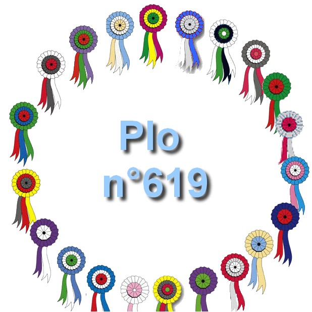 2020-07-27-Plo-n-619