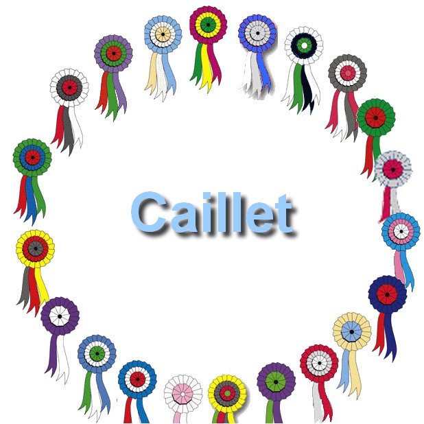 2020-07-28-Trophees