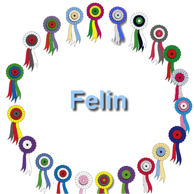 2020-07-28-Felin
