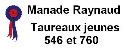 2020-09-19-Raynaud