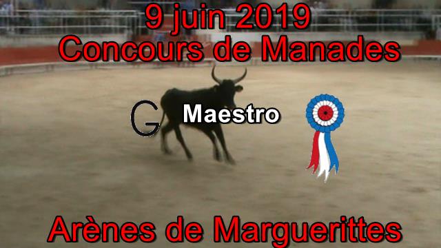 2019 06 09 Maestro