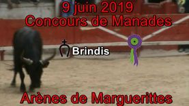 2019 06 09 Brindis