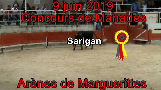 2019 06 09 Sarigan