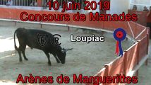 2019 06 10 Loupiac
