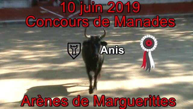 2019 06 10 Anis
